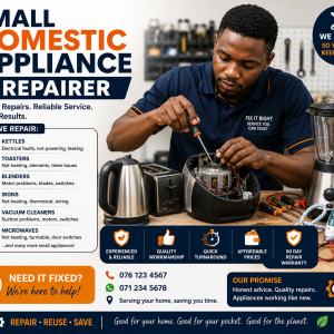 Small Domestic Appliance Repairer